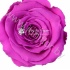Стабилизированная роза Rose pr PUR02 Стабилизированная роза Rose pr PUR02
