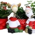 Хедера Kerstmix Flexkop+Hed_Kal680015