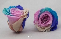 Стабилизированная роза Rose pr RAIN04