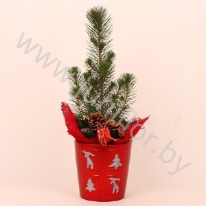 Сосна Pin.Glossy Rood Kersttoef NO SNOW