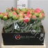 Пион Paeonia Coral Sunset Пион Paeonia Coral Sunset