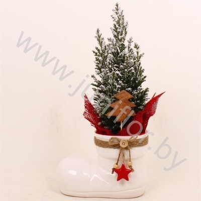Кипарис Cham.Sn.Keramiek Laars SNOW