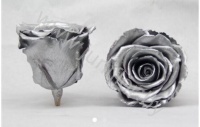 Стабилизированная роза Rose pr Silver