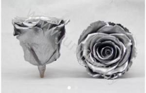 Стабилизированная роза Rose pr Silver