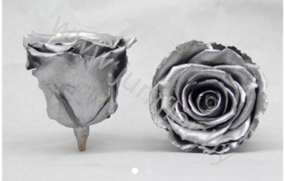 Стабилизированная роза Rose pr Silver