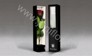 Стабилизированная роза Rose pr Stem Red