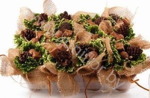 Селагинелла Selaginella Kerst Jute Rondella