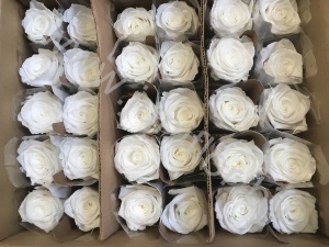 Стабилизированная роза Rose pr Stem White