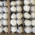 Стабилизированная роза Rose pr Stem White Стабилизированная роза Rose pr Stem White