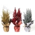 Кипарис Cham.Rondella Glitter Crystal