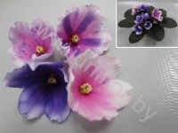 Сенполия Oriental Mix