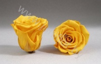 Стабилизированная роза Rose pr YEL02
