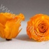 Стабилизированная роза Rose pr YEL04 Стабилизированная роза Rose pr YEL04