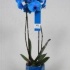 Фаленопсис Phal Royal Blue 2-tak in keramic Фаленопсис Phal Royal Blue 2-tak in keramic