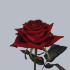 f_ruby_red.jpg Роза Ruby Red