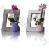 Фаленопсис мини 1 tak Memory Frame