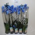 Фаленопсис Phal Royal Blue 1-Tak