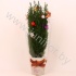 Кипарис Cham.Kersthoes Decoraties NO SNOW