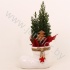 Кипарис Cham.Keramiek Laars NO SNOW