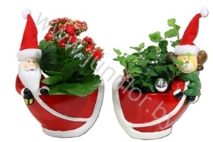 Микс Xmas Figuur Mix Of 2+Kamerplant