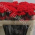 Гвоздика Red Гвоздика Red