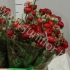 Ранункулус Ranunculus Red Baron