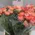 Ранункулус Ranunculus Salmon Ранункулус Ranunculus Salmon