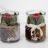 Каланхоэ Bont Merry Xmas Glass+Kalanchoe