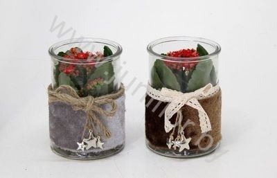Каланхоэ Bont Merry Xmas Glass+Kalanchoe