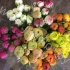 Ранункулус Ranunculus Mix Ранункулус Ranunculus Mix