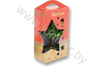 Бонсай Bonsai Christmas Showbox