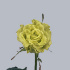 Super_Green.jpg Роза Super Green