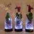Фаленопсис Lit Lady In LedGlas