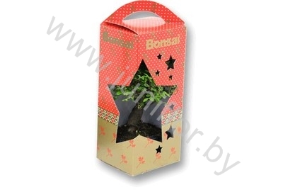 Бонсай Bonsai Christmas Showbox