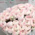 Ранункулус Ranunculus Cloney Hanoi Ранункулус Ranunculus Cloney Hanoi