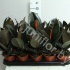 Фикус Ficus Abidjan Фикус Ficus Abidjan
