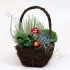 Микс Salim Hengselmand 20cm Met Tuinplan
