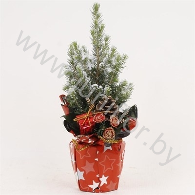 Ель Pic.Sn.Rondella Kersttoef SNOW