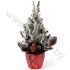 Ель Pic.Sn.Rondella Kersttoef SNOW
