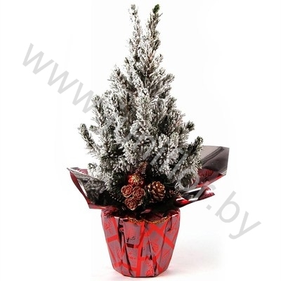 Ель Pic.Sn.Rondella Kersttoef SNOW