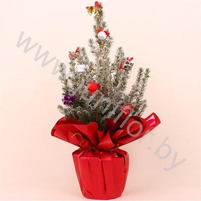 Ель Pic.Sn.Rondella Decoraties SNOW