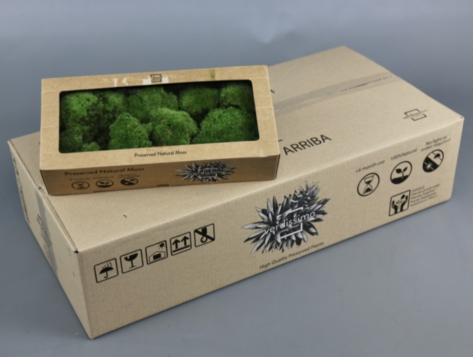 Мох Стабилизированный Банмос Gr Moss Preserved Bunmos