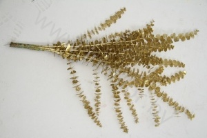 Эвкалипт Бэби Блю Голд Gr Euc Baby blue p Gold