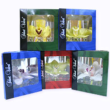 Орхидея Pack