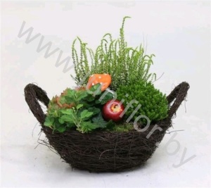 Ива Mand 25cm Met Tuinplanten