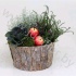 Микс Schorspot 21cm Met Tuinplanten