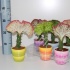 Эуфорбия Euphorbia cites Lactea In Stenen Pot NW Эуфорбия Euphorbia cites Lactea In Stenen Pot NW