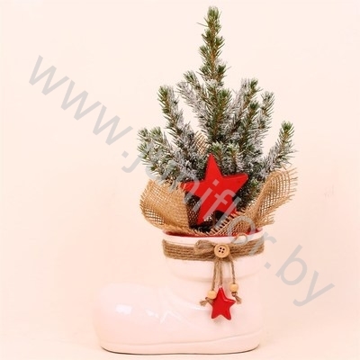 Ель Pic.Sn.Ceramic Boot SNOW
