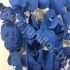 Эвкалипт Синерея Блю Gr Euc Cinerea p Blue Эвкалипт Синерея Блю Gr Euc Cinerea p Blue