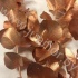 Эвкалипт Синерея Бронз Gr Euc Cinerea p Bronz Эвкалипт Синерея Бронз Gr Euc Cinerea p Bronz